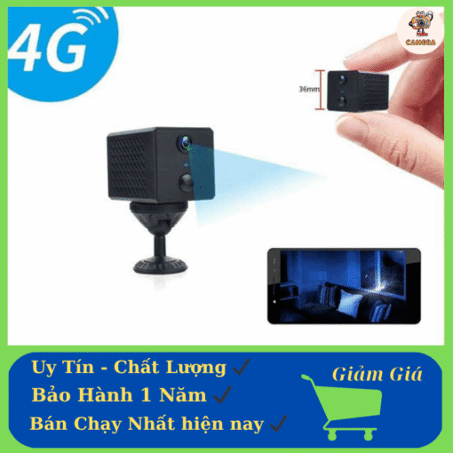 Them tieu de phu 2