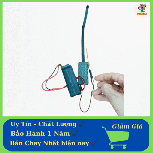 Them tieu de phu 61