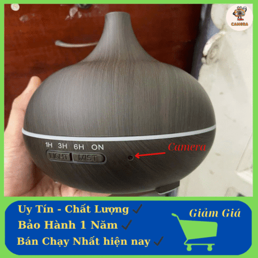Them tieu de phu 62
